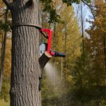 FS25 Tree Cutter Attachment Mods: Enhancing Performance and Versatility