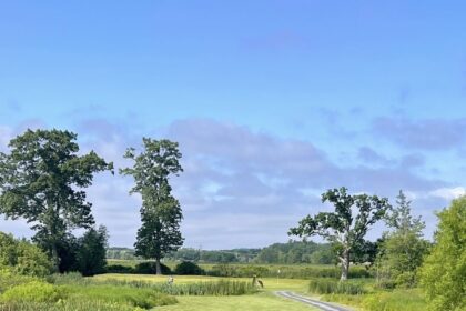 Reedy Golf Course Lynnfield MA: A Premier Destination for Golf Enthusiasts