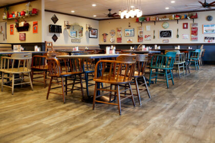 Mama Kats: Guardians of the Feline World