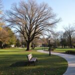 Discover Elwood Park: A Visitor's Guide