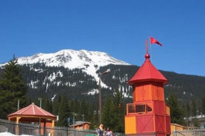 White Mountain Family Fun Park: An Adventure Hub in the Heart of Nature