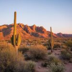 The Desert Foothills Park Phoenix: An Oasis of Natural Beauty and Recreation