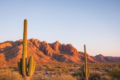 The Desert Foothills Park Phoenix: An Oasis of Natural Beauty and Recreation