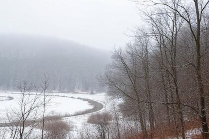 February Themes: Celebrations, Symbols, and Significance