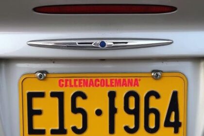 How to Design the Best License Plate Ideas: A Comprehensive Guide