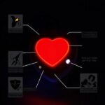 The Holter Monitor Instructions