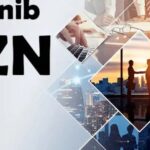 Understanding "Anonib AZN": An In-Depth Exploration