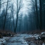 Like If You Cry Evertim: The Power of Emotional Connection in Modern Culture